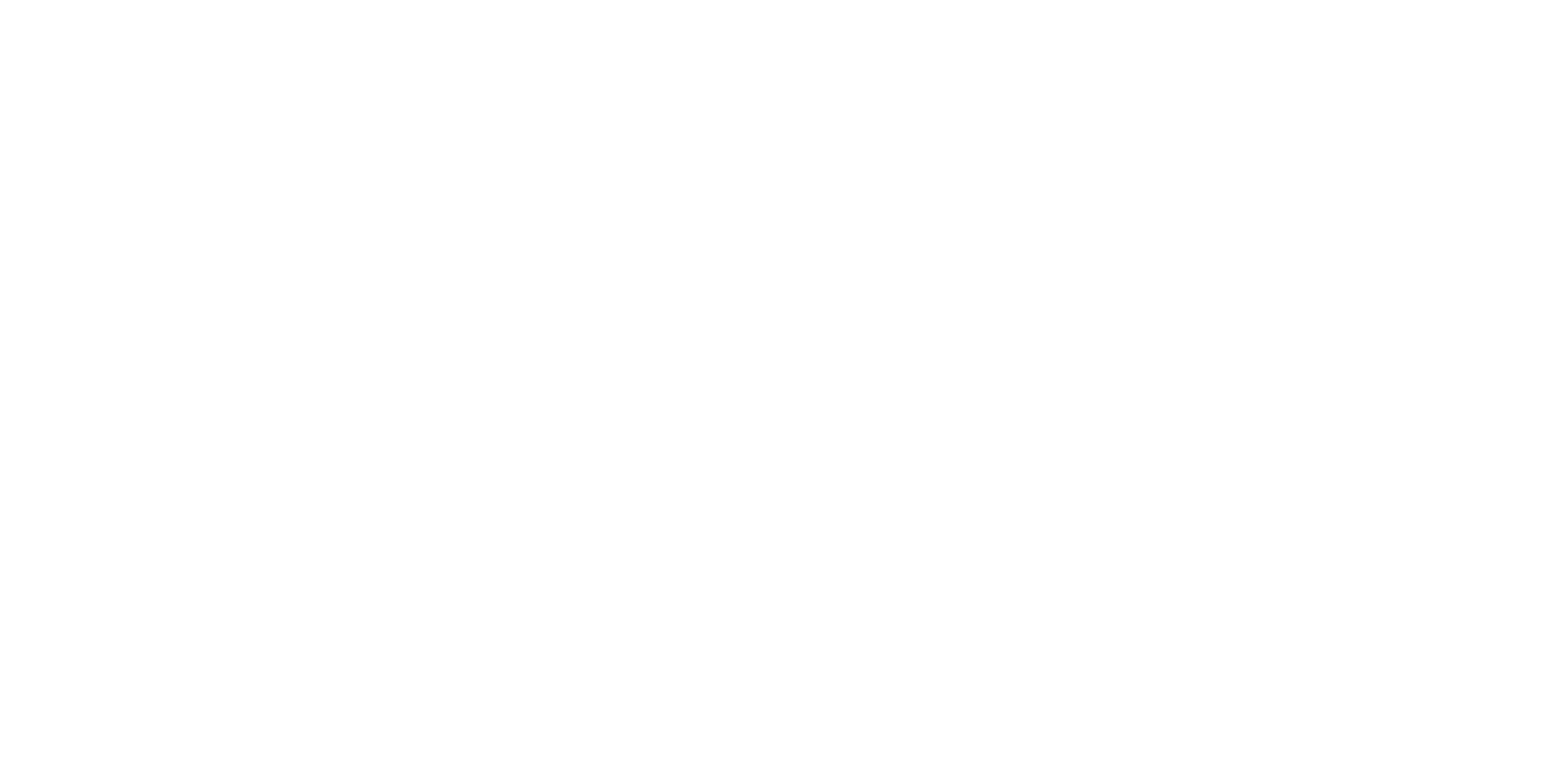 ASKYA Investment Partners
