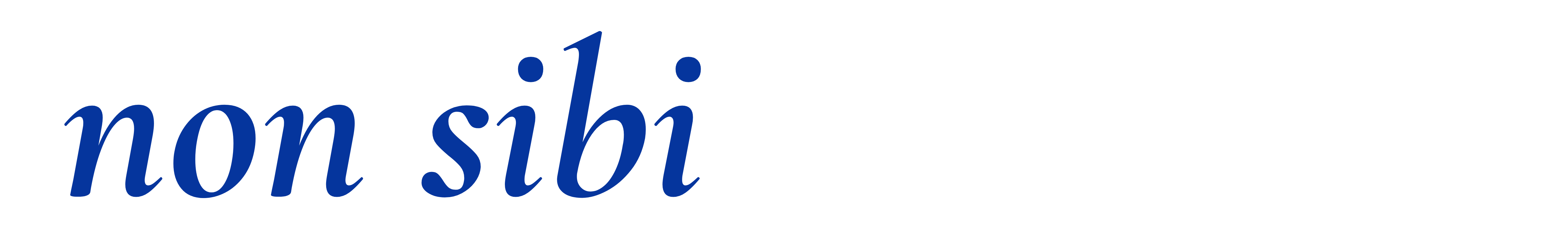 Non Sibi Ventures